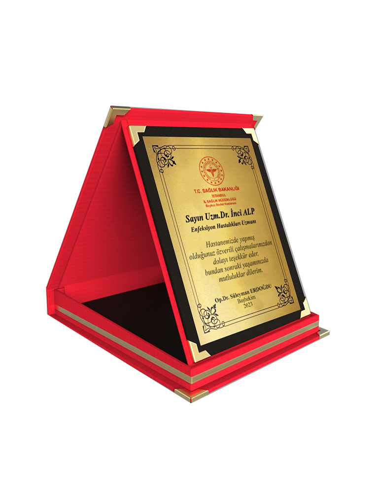 ALBÜM PLAKETLER